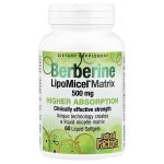Berberine Lipomicel Matrix-500mg(60)-Natural Factors
