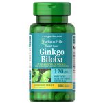 Puritan's Pride - Ginkgo Biloba - Standardized Extract 120 mg - (100)